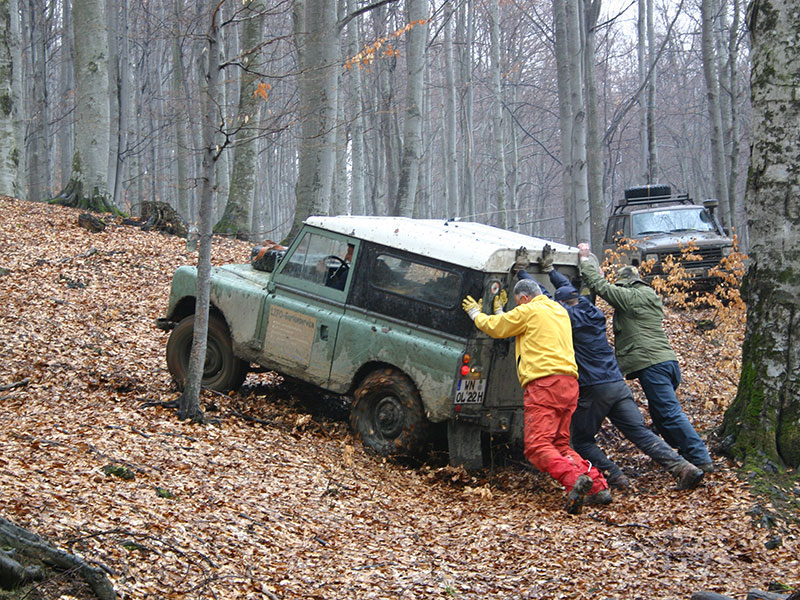 derfotokrebs-offroad-im-wald
