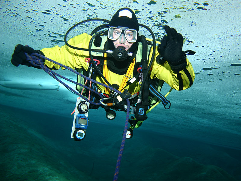 fotokrebs-diving